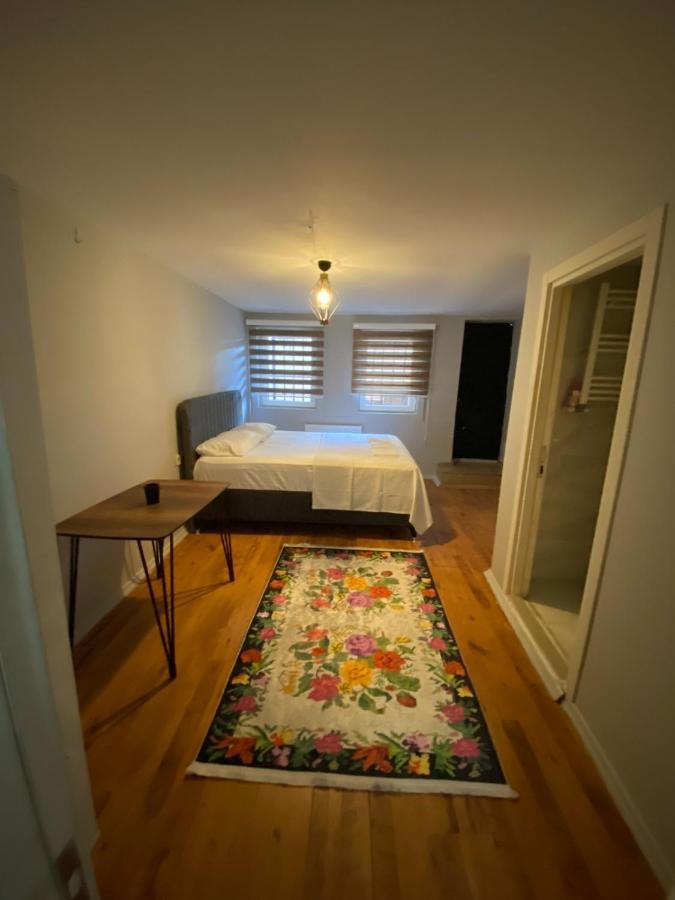 Apartament Zelya Flats *